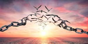 آثار عفو و ثمرات و انگیزه های آن